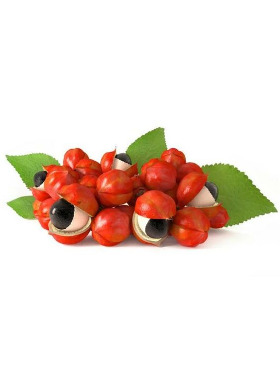 گیاه خارق العاده گوارانا
